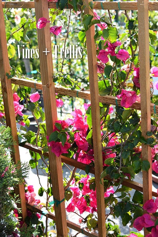 A wooden trellis with pink flowers in it.