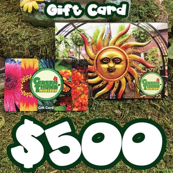 A $500 Gift Card To Green Thumb Nursery