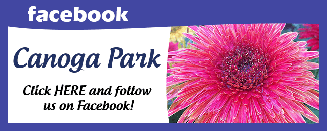Canaga park facebook page.