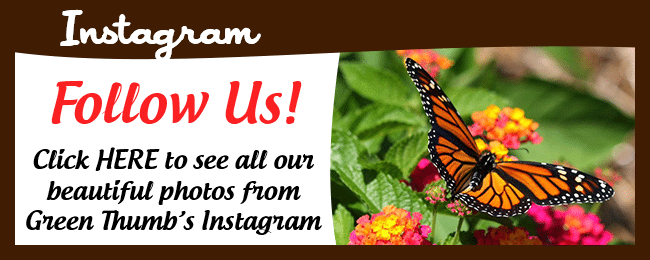 Follow us on instagram.