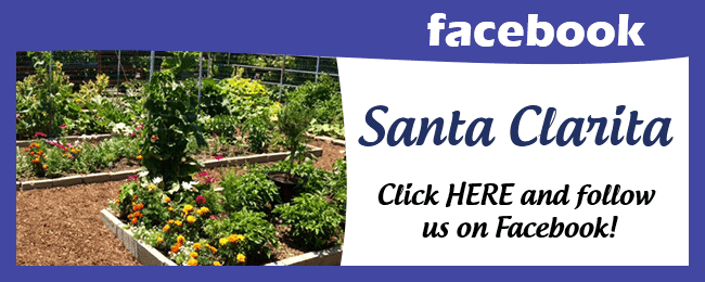 Santa clarita facebook page.