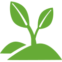 A green plant with leaves on a green background.