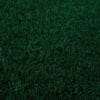 A close-up image of lush green grass found at a local garden center near me.