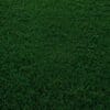 A soccer ball resting on a green field at the best garden center near me.