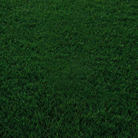 A soccer ball resting on a green field at the best garden center near me.