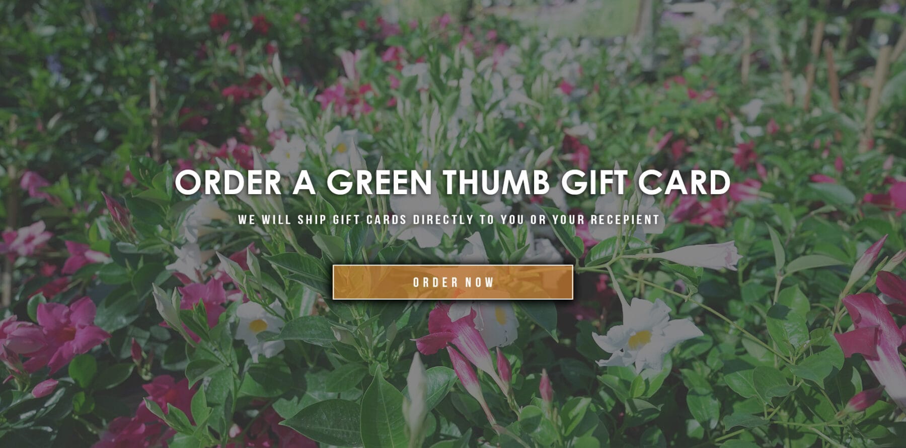 greenthumbgiftcardwebsitebanner