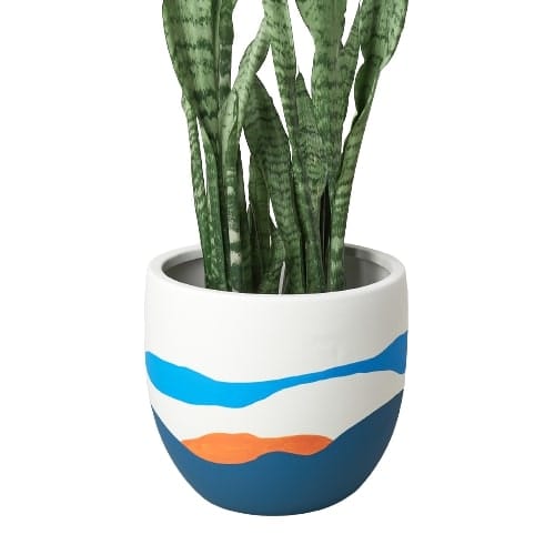 A vibrant plant in a blue and white pot.