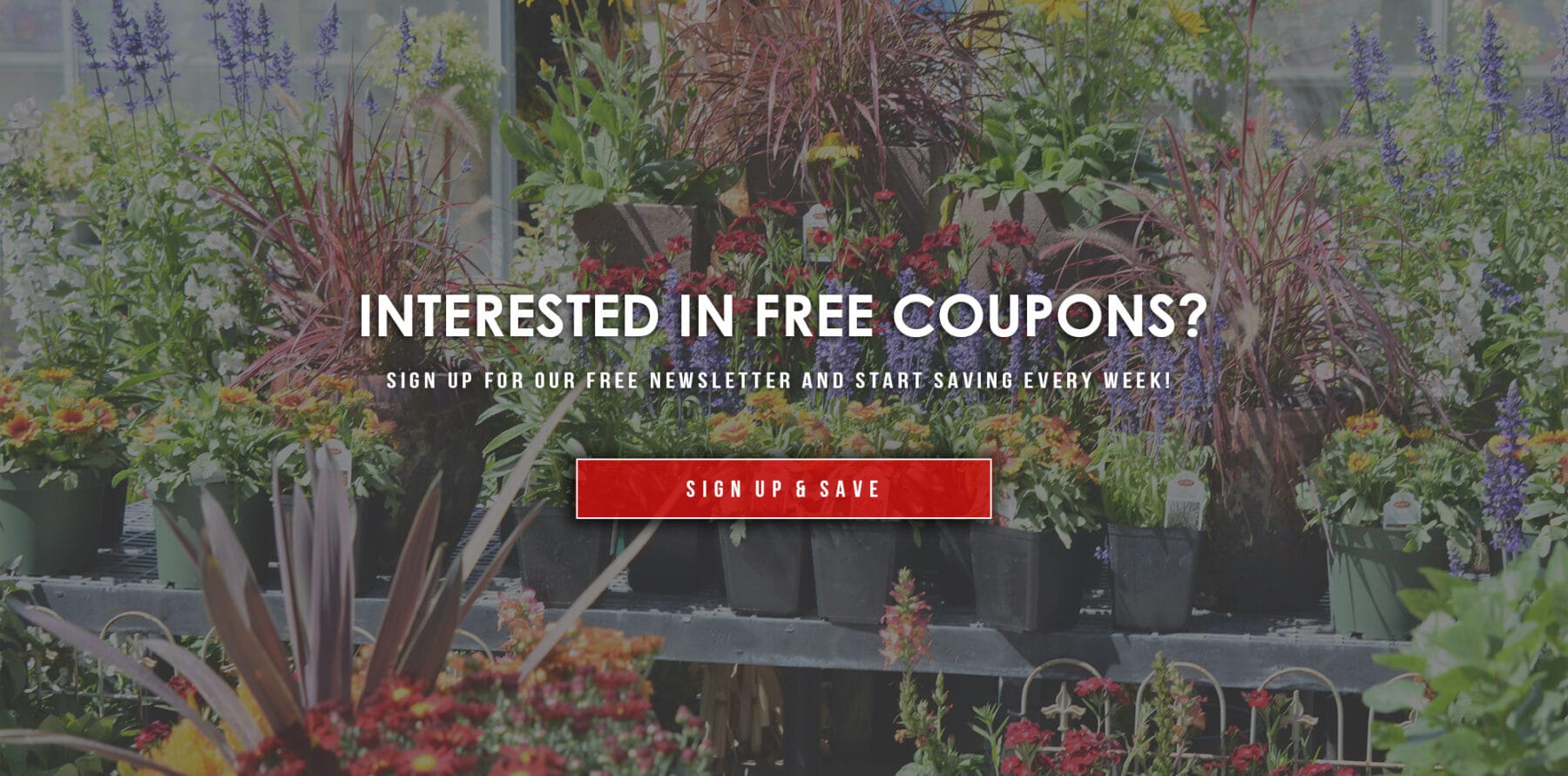 coupons-banner-website-scaled