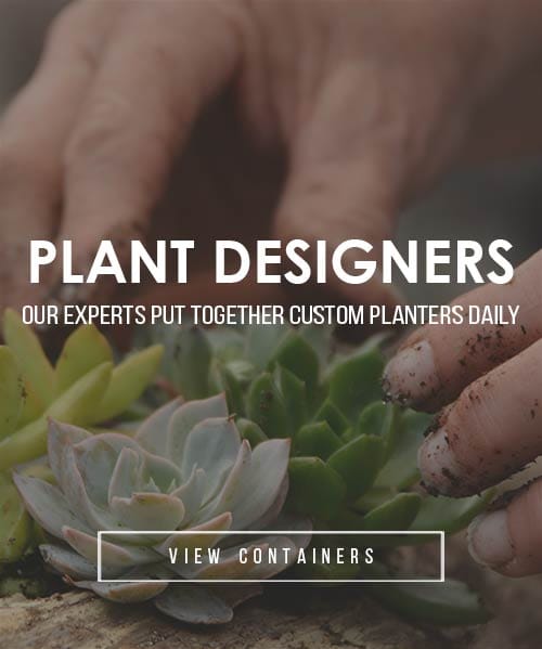 plant-designers