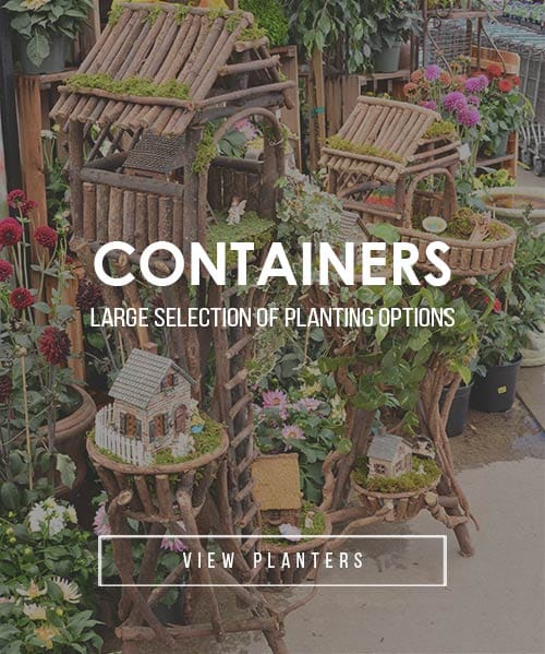 planters-2