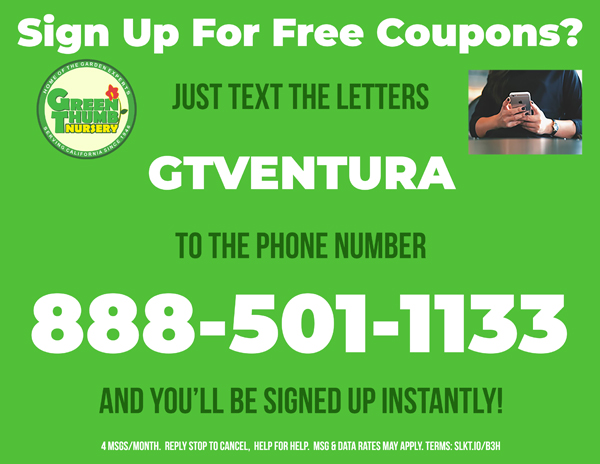 55379103-8991-61aa-f050-f8d2c50c505a A sign that says sign up for free coupons.