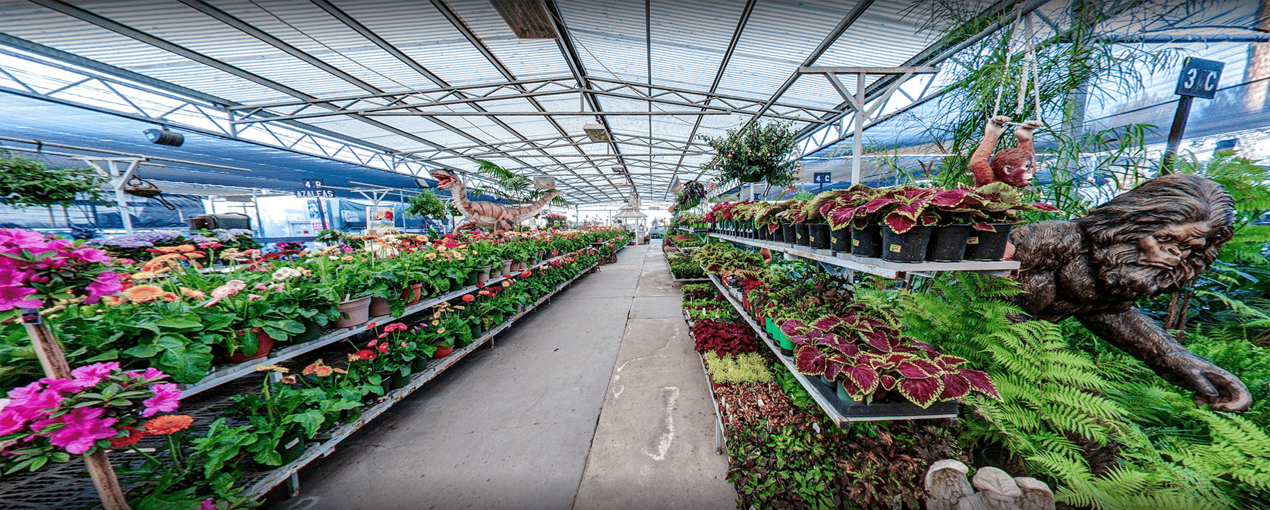 green thumb venturabanner A greenhouse filled with plants and statues.