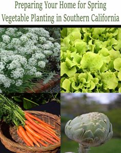 Collage showing preparation for spring vegetable planting: white flowers, green lettuce, a basket of carrots, and an artichoke in Southern California.